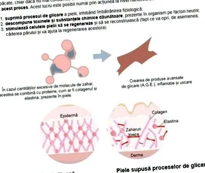 perle perle