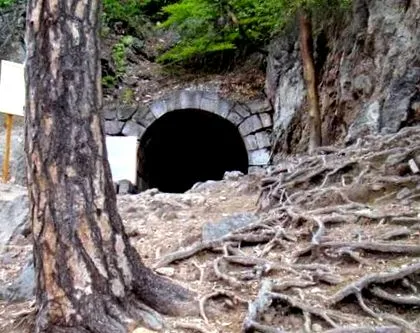 сканг
