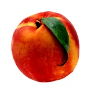 őszibarack kalóriatartalma