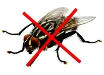 Mosquito Stop