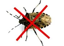 Mosquito Stop