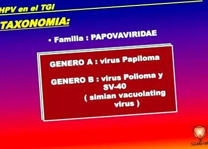 потенција фабрика