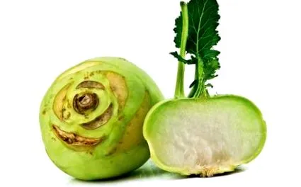 rastliny