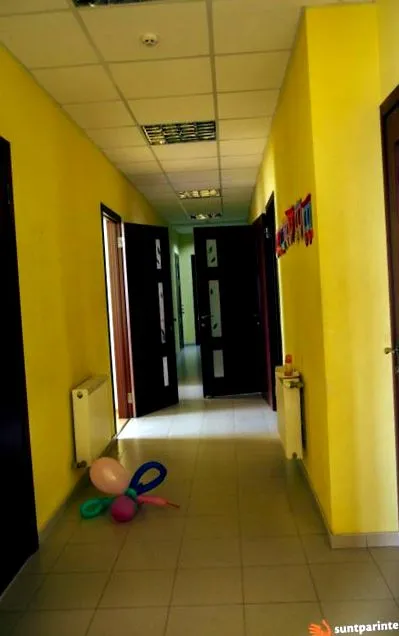éves diák