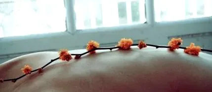 имунолошкиот систем
