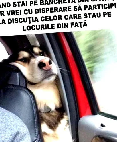 гарантуватимуть