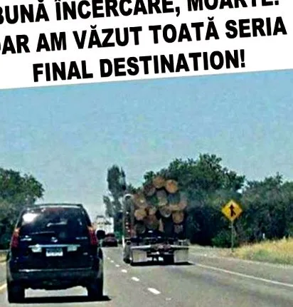 написами