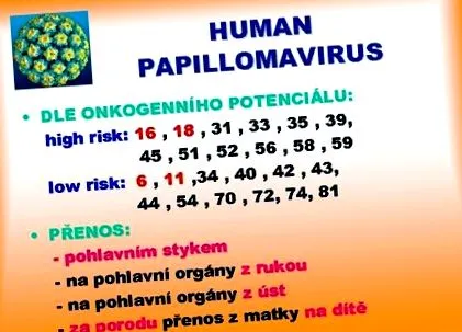 инстаграм објави