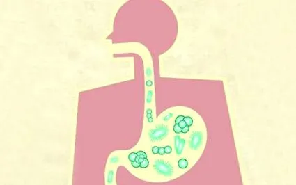 probiotikumok