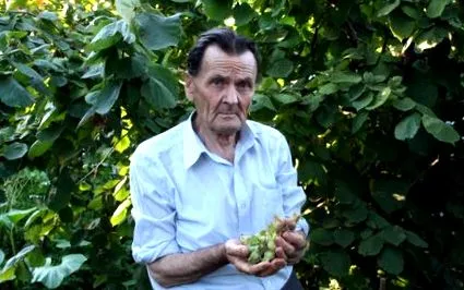 приказни романците