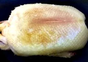 печена патица