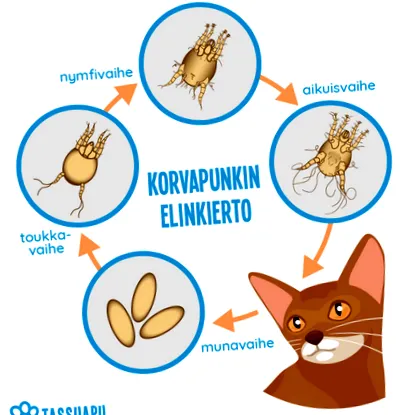 ознаки лікування кишкових