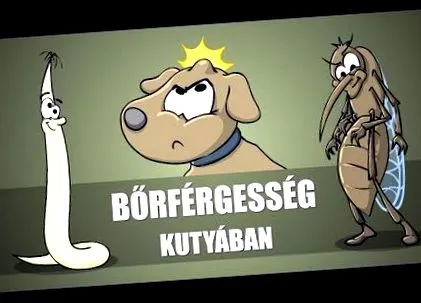 червеите температура