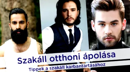 дома szaboi