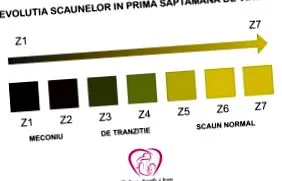 elegendő
