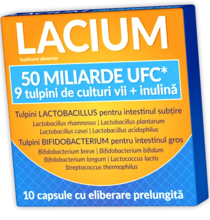 Lactobacillus reuteri