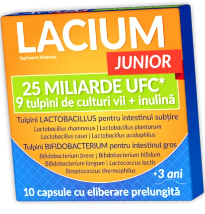 Lactobacillus reuteri