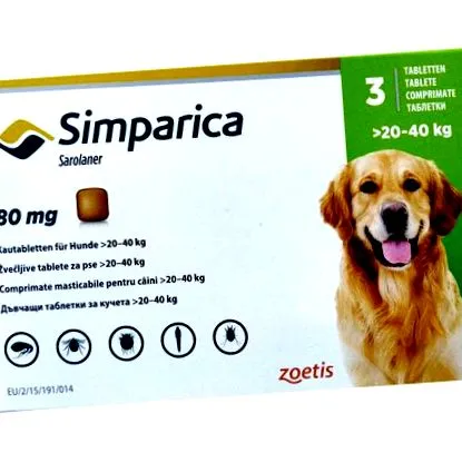 megelőzéséről