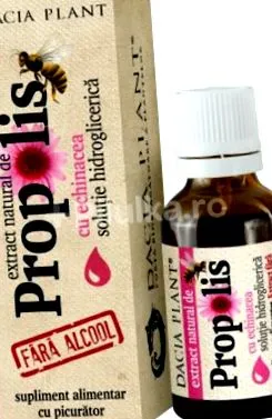 echinacea-val