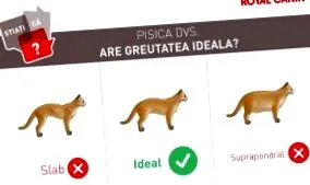 Royal Canin