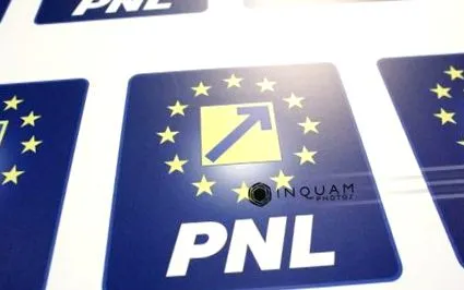 alkotmányának pnl-tervezete