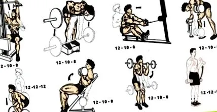 program