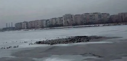 його