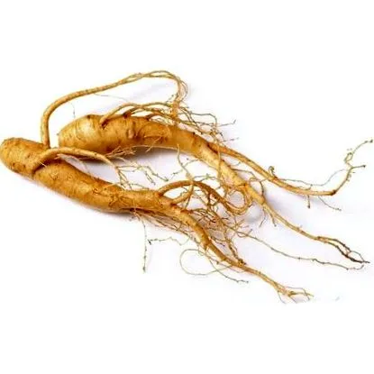 root