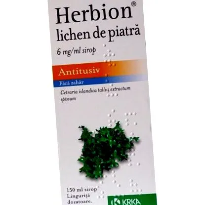 ízületek