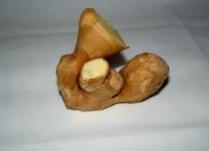 gyömbér tinktúra gyömbér