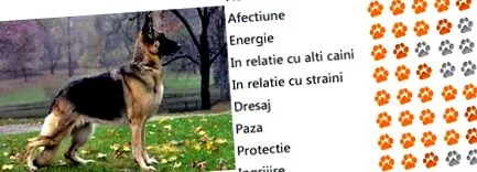 овчари
