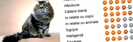 fajta