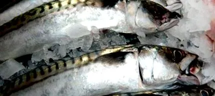 makrely