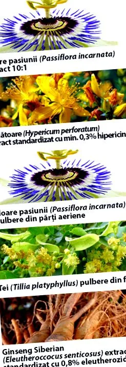 Passiflora kivonat