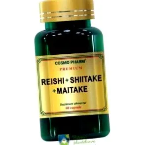 shiitake shiitake