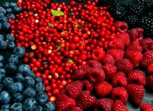 resveratrol ételekben