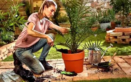 hornbach kell újratelepíteni