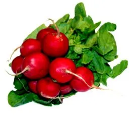пропускуючи пропускуючи