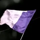 ниту еден