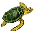 figura szafari