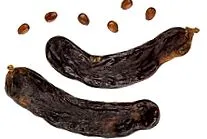 fehérjeforrás