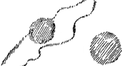 steiner