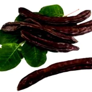 fehérjeforrás