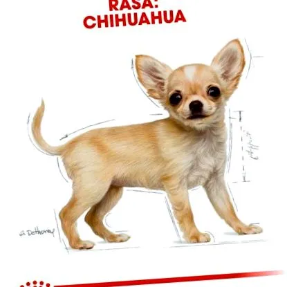canin