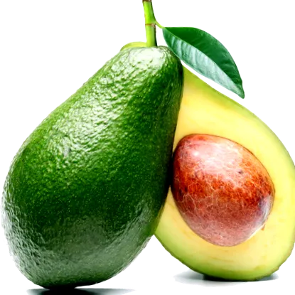 lipodiet