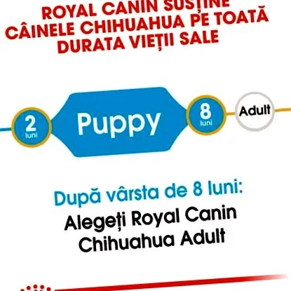 canin