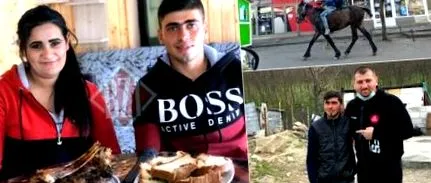 lovas választott