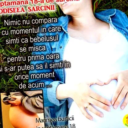 terhesség hete