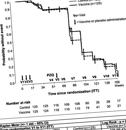 fejlesztése