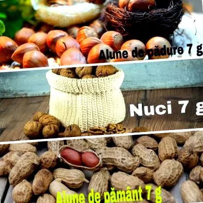 fogyna